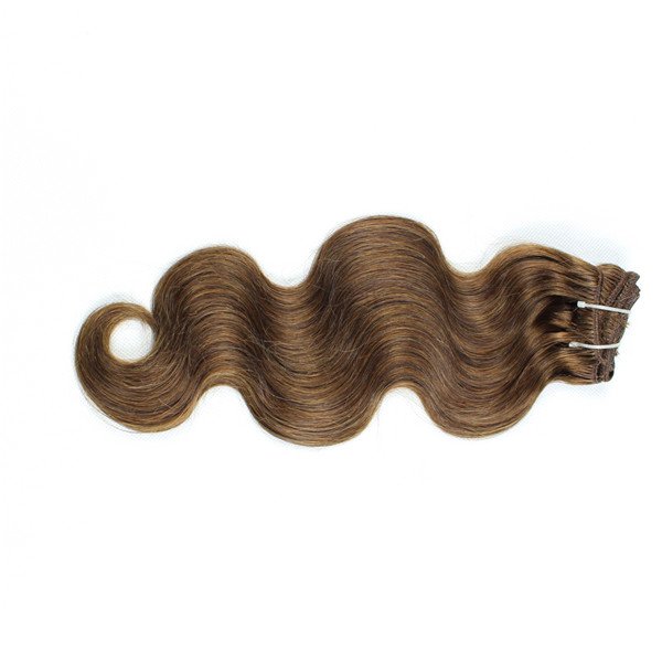 Brown hair weave colored hair wholesale bundles Brazilian hair YL127